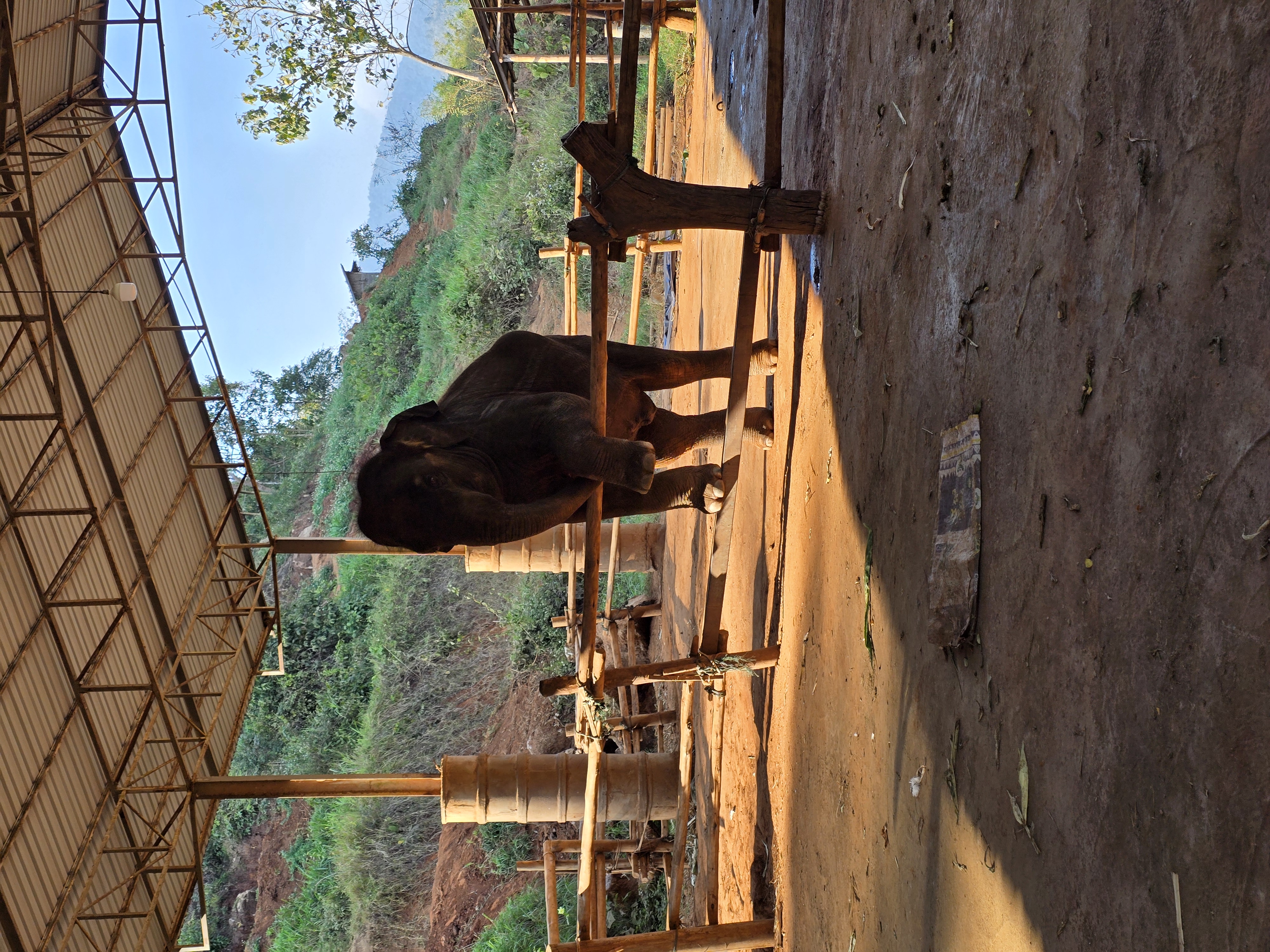 Best elephant sanctuary Chiang Mai - elephant bathing